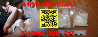 молекула духа Будённовск