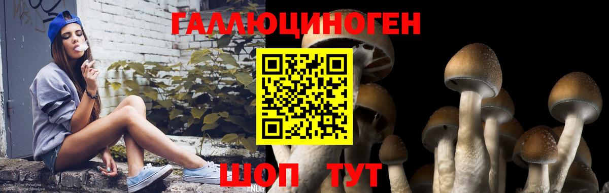 Шуя  Псилоцибиновые грибы ЛСД  Галлюциногенные грибы GOLDEN TEACHER  Вход с VPN 
